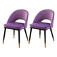 Gorgeous Fabric Dining Chair, Modern Minimalist Open Plan Family Dining Chair Grape 2 Piece Set Clearhalo 'Dining Chairs' 'Dining Tables & Seating' 'dining_chair' 'furn' 'furn_dining_chair' 'Furniture' 'Kitchen & Dining Furniture' 5464795