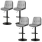 Nordic Style Bar Stool Liftable Counter Bar-stool with Metal Legs Light Gray 4 Piece Set Clearhalo 'Bar Furniture' 'Bar Stools' 'bar_stools' 'furn' 'furn_bar_stools' 'Furniture' 'Kitchen & Dining Furniture' 5474442