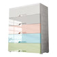 Contemporary Cabinet With Drawer Plastic Storage Cabinet for Home