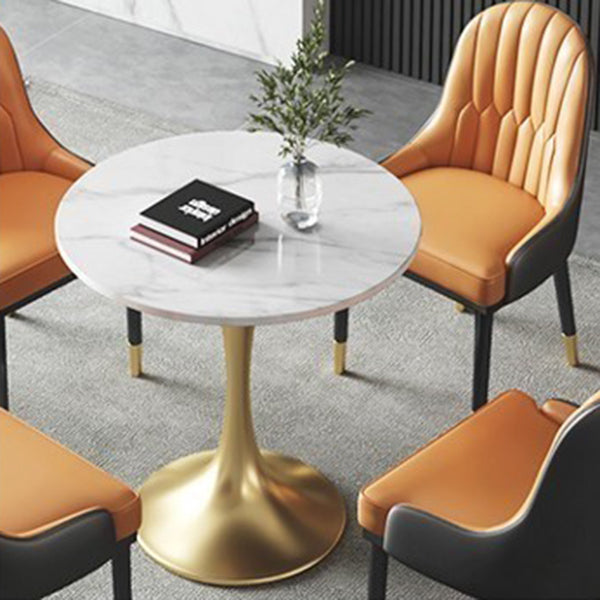 Traditional Luxury Dining Table Sintered Stone Tulip Table for Dining Room Clearhalo 'Dining Tables & Seating' 'Dining Tables' 'dining_table' 'furn' 'furn_dining_table' 'Furniture' 'Kitchen & Dining Furniture' 5480002