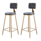 Glam Metal Barstool Velvet Gold Furniture in Matte Finish for Indoor Grey 2 Piece Set Bar Stool(30"H) Clearhalo 'Bar Furniture' 'Bar Stools' 'bar_stools' 'furn' 'furn_bar_stools' 'Furniture' 'Kitchen & Dining Furniture' 5490332