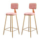 Glam Metal Barstool Velvet Gold Furniture in Matte Finish for Indoor Pink 2 Piece Set Bar Stool(30"H) Clearhalo 'Bar Furniture' 'Bar Stools' 'bar_stools' 'furn' 'furn_bar_stools' 'Furniture' 'Kitchen & Dining Furniture' 5490350