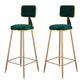 Glam Metal Barstool Velvet Gold Furniture in Matte Finish for Indoor Blackish Green 2 Piece Set Bar Stool(30"H) Clearhalo 'Bar Furniture' 'Bar Stools' 'bar_stools' 'furn' 'furn_bar_stools' 'Furniture' 'Kitchen & Dining Furniture' 5490360