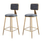 Glam Metal Barstool Velvet Gold Furniture in Matte Finish for Indoor Grey 2 Piece Set Counter Stool(26"H) Clearhalo 'Bar Furniture' 'Bar Stools' 'bar_stools' 'furn' 'furn_bar_stools' 'Furniture' 'Kitchen & Dining Furniture' 5490370