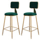 Glam Metal Barstool Velvet Gold Furniture in Matte Finish for Indoor Blackish Green 2 Piece Set Counter Stool(26"H) Clearhalo 'Bar Furniture' 'Bar Stools' 'bar_stools' 'furn' 'furn_bar_stools' 'Furniture' 'Kitchen & Dining Furniture' 5490390
