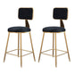Glam Metal Barstool Velvet Gold Furniture in Matte Finish for Indoor Black 2 Piece Set Short Stool(18"H) Clearhalo 'Bar Furniture' 'Bar Stools' 'bar_stools' 'furn' 'furn_bar_stools' 'Furniture' 'Kitchen & Dining Furniture' 5490395