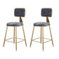 Glam Metal Barstool Velvet Gold Furniture in Matte Finish for Indoor Grey 2 Piece Set Short Stool(18"H) Clearhalo 'Bar Furniture' 'Bar Stools' 'bar_stools' 'furn' 'furn_bar_stools' 'Furniture' 'Kitchen & Dining Furniture' 5490400