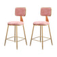 Glam Metal Barstool Velvet Gold Furniture in Matte Finish for Indoor Pink 2 Piece Set Short Stool(18"H) Clearhalo 'Bar Furniture' 'Bar Stools' 'bar_stools' 'furn' 'furn_bar_stools' 'Furniture' 'Kitchen & Dining Furniture' 5490410