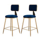 Glam Metal Barstool Velvet Gold Furniture in Matte Finish for Indoor Blue 2 Piece Set Short Stool(18"H) Clearhalo 'Bar Furniture' 'Bar Stools' 'bar_stools' 'furn' 'furn_bar_stools' 'Furniture' 'Kitchen & Dining Furniture' 5490415