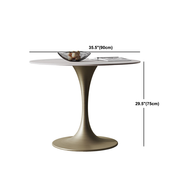 Glam Round Dining Set 1/2/3 Pcs Sintered Stone Dining Table with Armless Chairs Clearhalo 'Dining Room Sets' 'Dining Tables & Seating' 'dining_room_set' 'furn' 'furn_dining_room_set' 'Furniture' 'Kitchen & Dining Furniture' 5491423