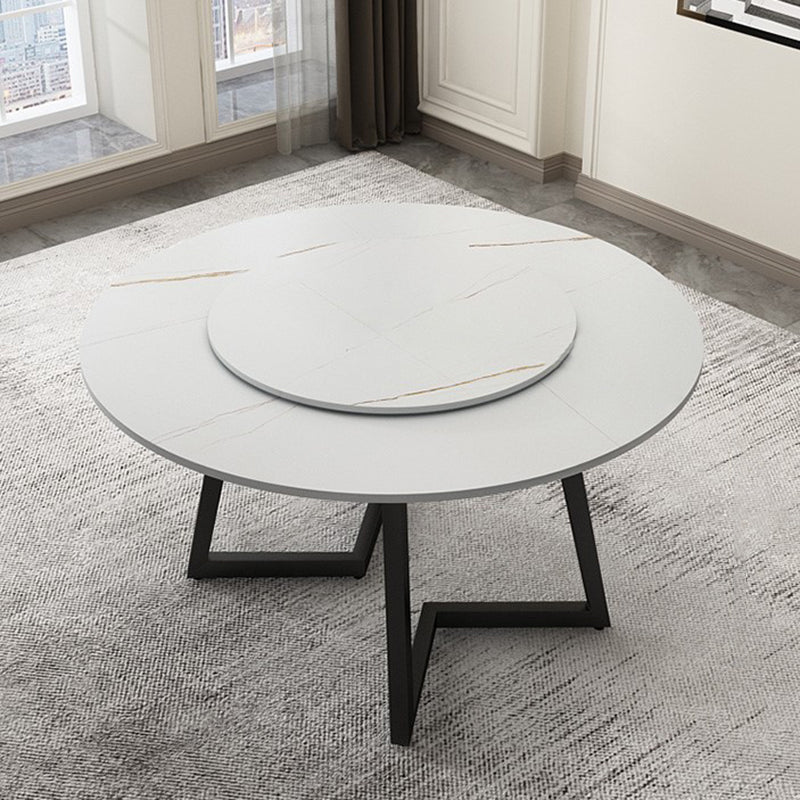 Round Double Pedestal Table Simplicity Style Dining Site Table with Turntable White Gold Lazy Susan Clearhalo 'Dining Tables & Seating' 'Dining Tables' 'dining_table' 'furn' 'furn_dining_table' 'Furniture' 'Kitchen & Dining Furniture' 5491823