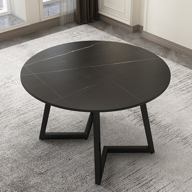 Round Double Pedestal Table Simplicity Style Dining Site Table with Turntable Black Fixed Table Clearhalo 'Dining Tables & Seating' 'Dining Tables' 'dining_table' 'furn' 'furn_dining_table' 'Furniture' 'Kitchen & Dining Furniture' 5491828