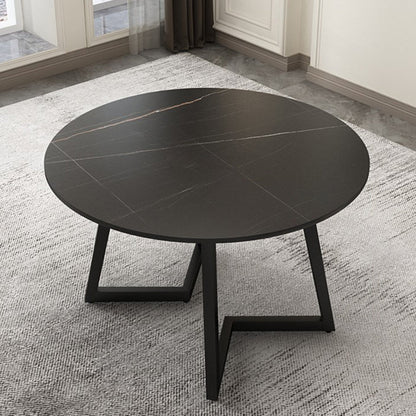 Round Double Pedestal Table Simplicity Style Dining Site Table with Turntable Black Fixed Table Clearhalo 'Dining Tables & Seating' 'Dining Tables' 'dining_table' 'furn' 'furn_dining_table' 'Furniture' 'Kitchen & Dining Furniture' 5491828