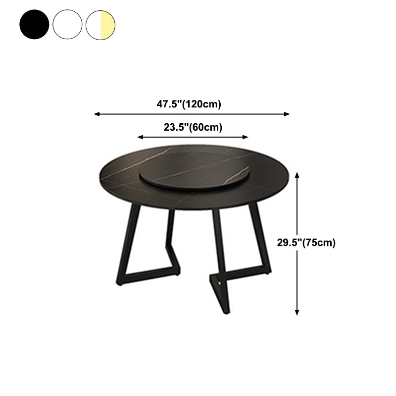 Round Double Pedestal Table Simplicity Style Dining Site Table with Turntable Clearhalo 'Dining Tables & Seating' 'Dining Tables' 'dining_table' 'furn' 'furn_dining_table' 'Furniture' 'Kitchen & Dining Furniture' 5491839