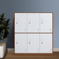 Modern Hinged Storage Cabinet Steel Non-Hanging Wardrobe Armoire