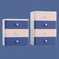 Modern Style Non-Hanging Armoire Plastic Storage Cabinet with Drawers