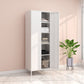 Steel Storage Cabinet Contemporary Non-Hanging Armoire for Home