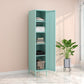 Steel Storage Cabinet Contemporary Non-Hanging Armoire for Home