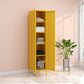 Steel Storage Cabinet Contemporary Non-Hanging Armoire for Home