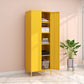 Steel Storage Cabinet Contemporary Non-Hanging Armoire for Home