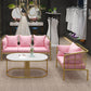 Golden Frame Pillow Back Sofa with Pillow Top Arm for Apartment