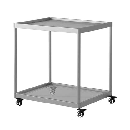 21.6" Tall Modern Rectangular Glass Top Side Table Iron Frame End Table with Shelf 20"L x 16"W x 22"H Silver 1