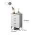 White Wooden Accent Cabinet with Door Modern Chest with 5 Drawers