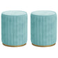 Glam Velvet Pouf Chair Tear Resistant Cylinder Shape Gold Base Ottoman Stool Light Blue 2 Piece Set Clearhalo 'furn' 'furn_ottomans_poufs' 'Furniture' 'Living Room Furniture' 'Ottomans & Poufs' 'ottomans_poufs' 5517314