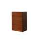 18" D Storage Chest Modern Style Bedroom Storage Chest Dresser with Drawers and Doors 24"L x 18"W x 39"H Brown 4 Clearhalo 'Bedroom Furniture' 'Dressers & Chests' 'dressers_chests' 'furn' 'furn_dressers_chests' 'Furniture' 5524414