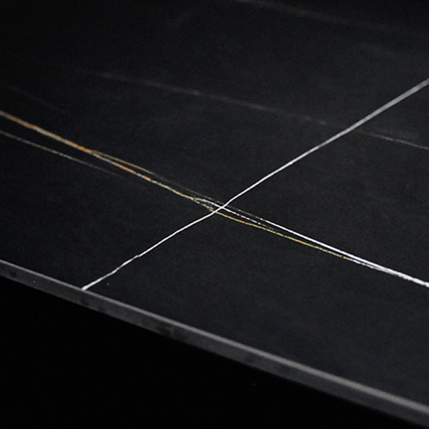 Modern Black Base Dining Set 1/4/5/7 Pieces Stone Top Indoor Dinette Set Clearhalo 'Dining Room Sets' 'Dining Tables & Seating' 'dining_room_set' 'furn' 'furn_dining_room_set' 'Furniture' 'Kitchen & Dining Furniture' 5528642