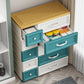 Plastic Storage Cabinet With Drawer Modern Wardrobe Armoire for Home