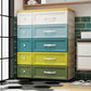 Plastic Storage Cabinet With Drawer Modern Wardrobe Armoire for Home