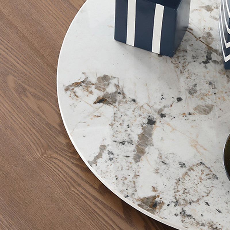 Wood Contemporary Round Dining Table Matte Finish Pedestal Table for Home