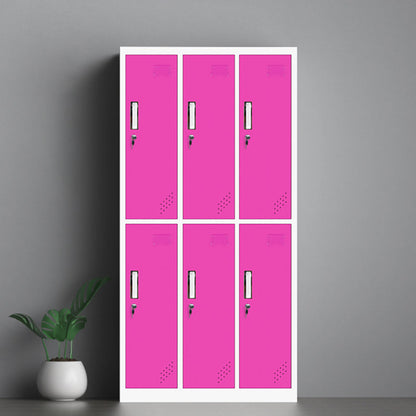 Metalen eigentijdse kast voor home matte afwerking opbergkast