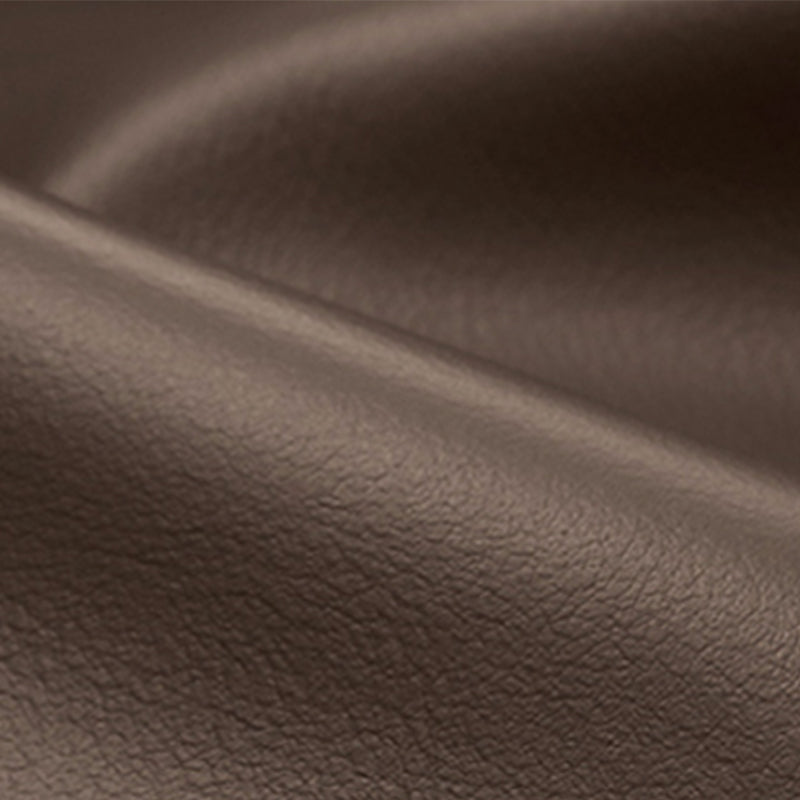 Contemporary Brown Cushions Standard Pillow Top Arm Stain Resistant Sofa Clearhalo 'furn' 'furn_sofas' 'Furniture' 'Living Room Furniture' 'Sofa' 'sofas' 5545403