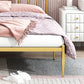 Contemporary Standard Bed with Headboard Open-Frame Metal Bed