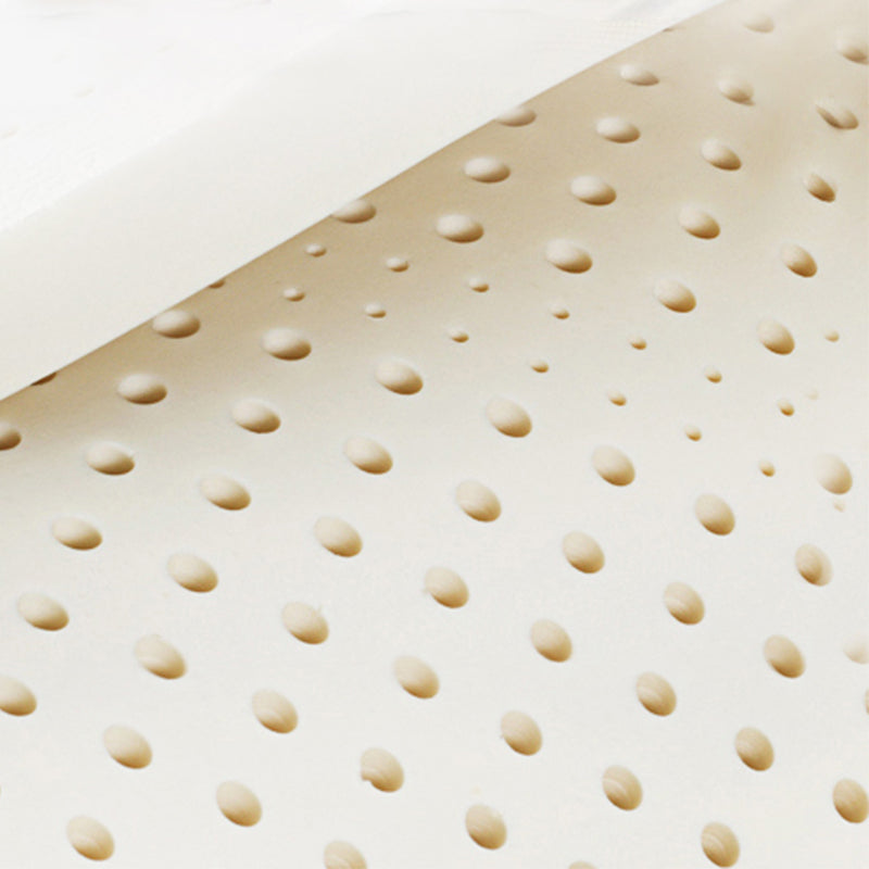 Genuine Leather Stain Resistant Contemporary Settee Couch in Orange and White Clearhalo 'furn' 'furn_sofas' 'Furniture' 'Living Room Furniture' 'Sofa' 'sofas' 5565692