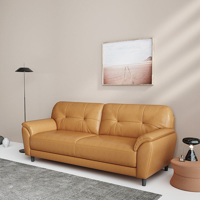 Stain Resistant Contemporary Pillow Top Arm Standard Settee Couch Clearhalo 'furn' 'furn_sofas' 'Furniture' 'Living Room Furniture' 'Sofa' 'sofas' 5565749