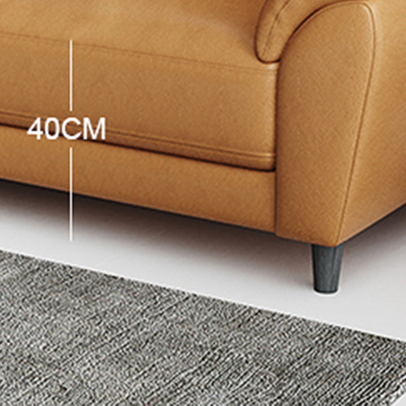 Stain Resistant Contemporary Pillow Top Arm Standard Settee Couch Clearhalo 'furn' 'furn_sofas' 'Furniture' 'Living Room Furniture' 'Sofa' 'sofas' 5565755