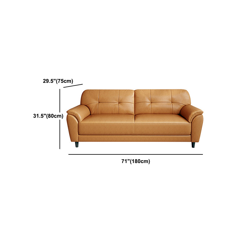 Stain Resistant Contemporary Pillow Top Arm Standard Settee Couch Clearhalo 'furn' 'furn_sofas' 'Furniture' 'Living Room Furniture' 'Sofa' 'sofas' 5565757