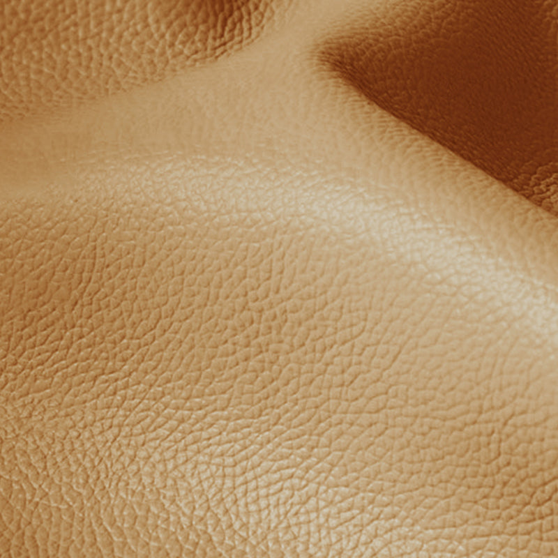 31.49" H Pillow Top Arm Sofa Brown Contemporary Standard Sofa