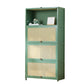 13" Wide Steel 3/4/5 - Door Accent Cabinet, With Rattan, Green 31.5"L x 13"W x 55.1"H Clearhalo 'Cabinets & Chests' 'cabinets_chests' 'furn' 'furn_cabinets_chests' 'Furniture' 'Living Room Furniture' 5567960