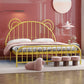 Bear Ear Headboard Glam Bed Iron Frame with  Footboard,Tall Clearance