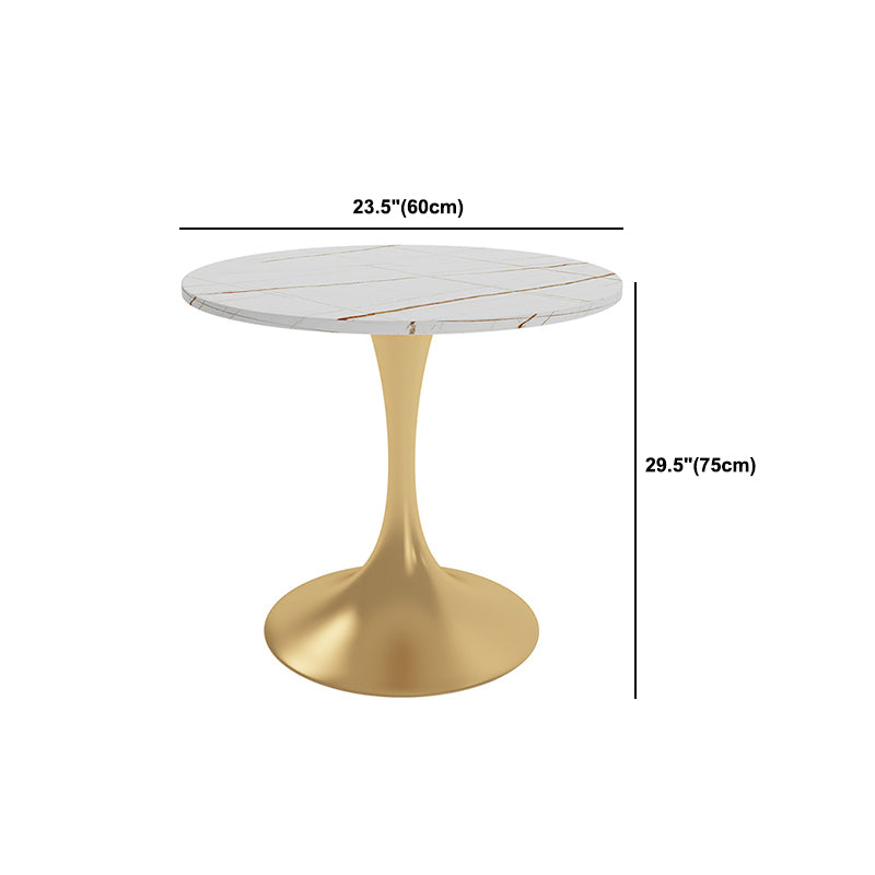 Glam Sintered Stone Dining Table Set Round 1/3/4/5 Pieces Dining Set for Home Use Clearhalo 'Dining Room Sets' 'Dining Tables & Seating' 'dining_room_set' 'furn' 'furn_dining_room_set' 'Furniture' 'Kitchen & Dining Furniture' 5571681