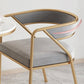 Glam Style Arm Dining Chairs Gold Iron Frame Open Back Dining Side Chair