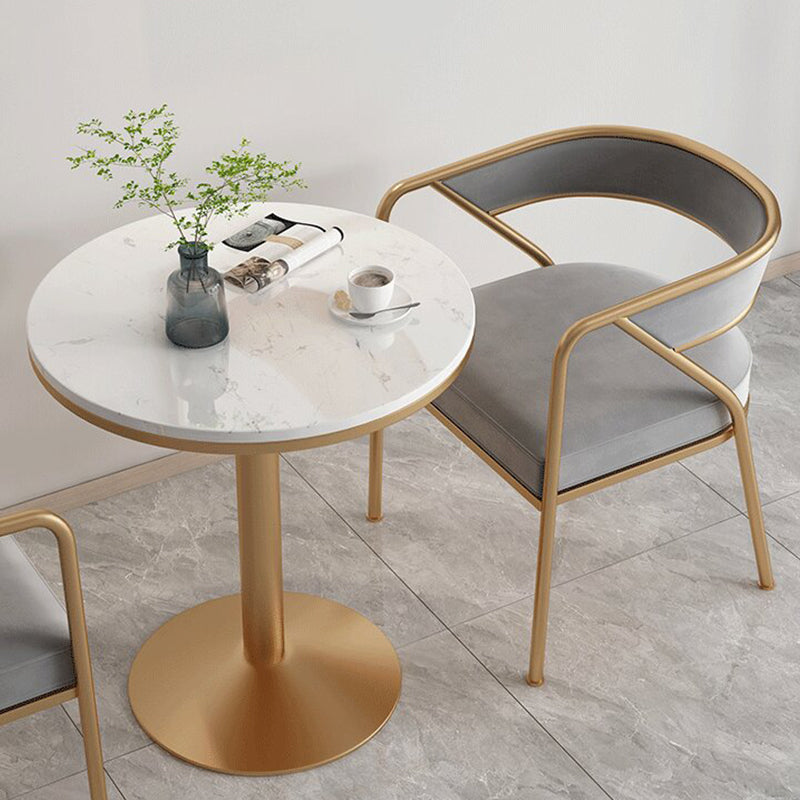 Glam Style Arm Dining Chairs Gold Iron Frame Open Back Dining Side Chair