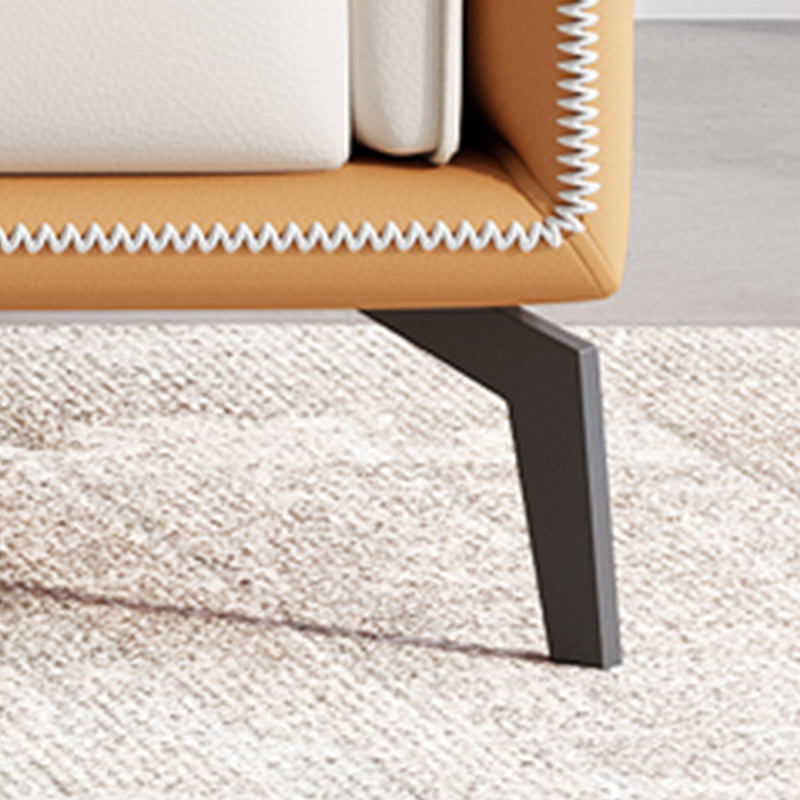 Coussins contemporains Standard Oreiller Top Bras canapé en cuir authentique