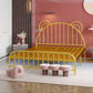 Contemporary Metal Arched Standard Bed with Open-Frame Headboard