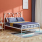 49.21" Modernism Metal Bed with Headboard Low Profile Standard Bed Clearhalo 'Bedroom Furniture' 'Beds' 'furn' 'furn_beds' 'Furniture' 5586694