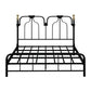 49.21" Modernism Metal Bed with Headboard Low Profile Standard Bed Black Clearhalo 'Bedroom Furniture' 'Beds' 'furn' 'furn_beds' 'Furniture' 5586696